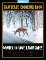 Winter In Love Landscapes: Grayscale Coloring Book Relieve Stress and Enjoy Relaxation 24 Single Sided Images