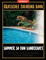 Summer So Fun Landscapes: Grayscale Coloring Book Relieve Stress and Enjoy Relaxation 24 Single Sided Images