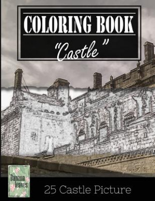 Castle History Architechture Greyscale Photo Adult Coloring Book, Mind Relaxation Stress Relief: Just added color to release your stress and power bra