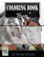 Horse Sketch Gray Scale Photo Adult Coloring Book, Mind Relaxation Stress Relief: Just added color to release your stress and power brain and mind, co