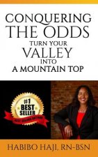 Conquering the Odds: : Turning Your Valley Into A Mountain Top