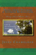 Poems about Exterior and Interior Ruminations