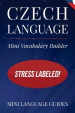 Czech Language Mini Vocabulary Builder: Stress Labeled!