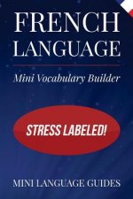 French Language Mini Vocabulary Builder: Stress Labeled!