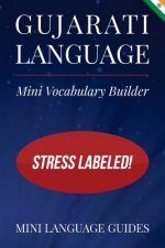 Gujarati Language Mini Vocabulary Builder: Stress Labeled!