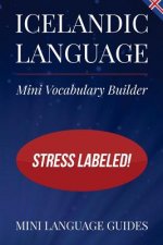 Icelandic Language Mini Vocabulary Builder: Stress Labeled!