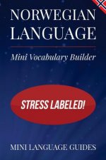 Norwegian Language Mini Vocabulary Builder: Stress Labeled!