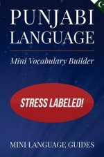 Punjabi Language Mini Vocabulary Builder: Stress Labeled!