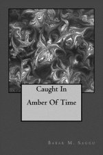 Caught In Amber Of Time