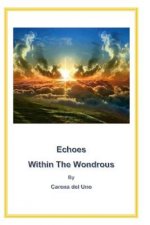 Echoes Within the Wondrous