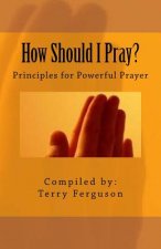 How Should I Pray?: Principles for Powerful Prayer