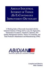 Abidian Industrial Internet of Things (IIoT)/Continuous Improvement Dictionary: A Working Index of Keywords Associated with the Industrial Internet of