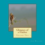 Glimpses of a Feather - Volume Two