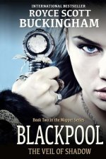 Blackpool: The Veil of Shadow (Mapper Book 2)