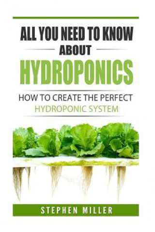 All You Need To Know About Hydroponics: How To Create The Perfect Hydroponic System