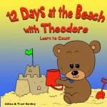 12 Beach Days with Theodore Counting Book: Preschool/Children Bear Counting Books for Toddlers and Kindergarten Kids