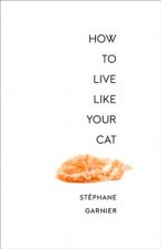 How to Live Like Your Cat