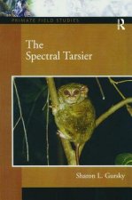 Spectral Tarsier