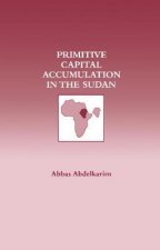 Primitive Capital Accumulation in the Sudan