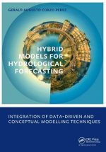 Hybrid models for Hydrological Forecasting: integration of data-driven and conceptual modelling techniques