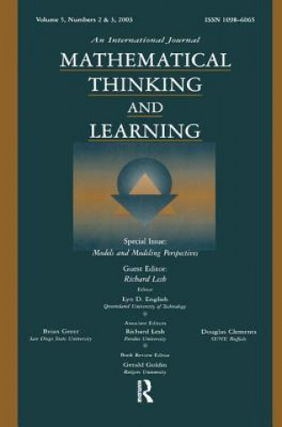 Models and Modeling Perspectives