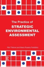 Practice of Strategic Environmental Assessment