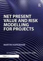 Net Present Value and Risk Modelling for Projects