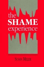 Shame Experience