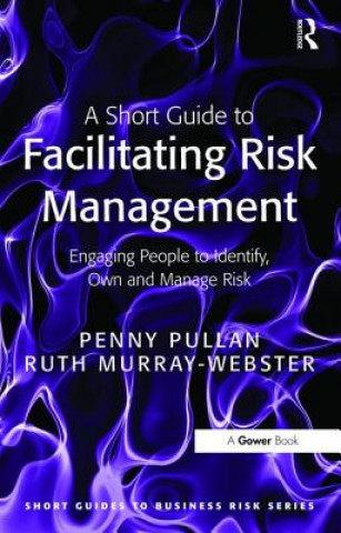 Short Guide to Facilitating Risk Management
