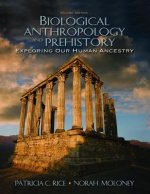 Biological Anthropology and Prehistory