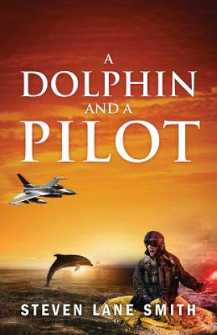 Dolphin and a Pilot