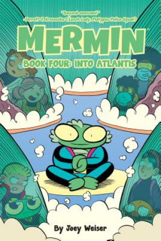 Mermin Book Four