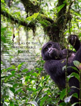Gorillas of the Impenetrable Forest: The Mountain Gorillas of Bwindi