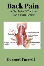 Back Pain: A Guide to Effective Back Pain Relief