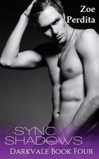 Sync & Shadows (Darkvale Book Four): Darkvale Book Four