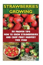 Strawberries Growing: 20 Proven Tips How To Grow Strawberries And Crop First Harvest This Year: (Gardening Books, Better Homes Gardens)