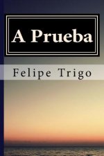 A Prueba Felipe Trigo (Spanish) Edition