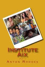 Institute Aix