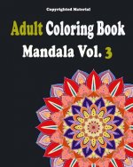 Adult Coloring Books: Mandala Coloring Book for Stress Relief: Mandala For Adult Relaxation