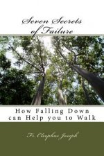 Seven Secrets of Failure: How Falling Down can Help you to Walk