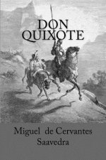 Don Quixote