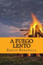 A fuego lento (Spanish Edition)