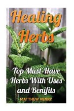 Healing Herbs: Top Must-Have Herbs With Uses and Benifits