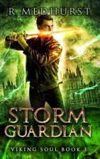 Storm Guardian: Viking Soul Book 3