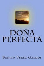 Do?a Perfecta (Spanish) Edition