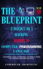 Raspberry Pi & Hacking & Computer Programming Languages: 3 Books in 1: The Blueprint: Everything You Need to Know