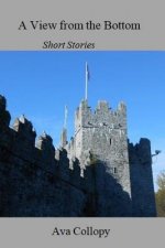 A View from the Bottom: Short Stories