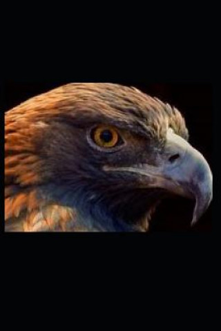 Red Eagle