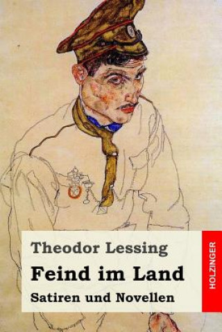 Feind im Land: Satiren und Novellen