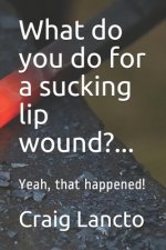 What do you do for a sucking lip wound?...: Yeah, that happened!